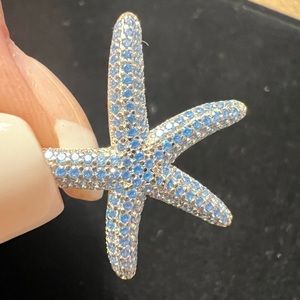 Blue star fish pendant done in silver.
